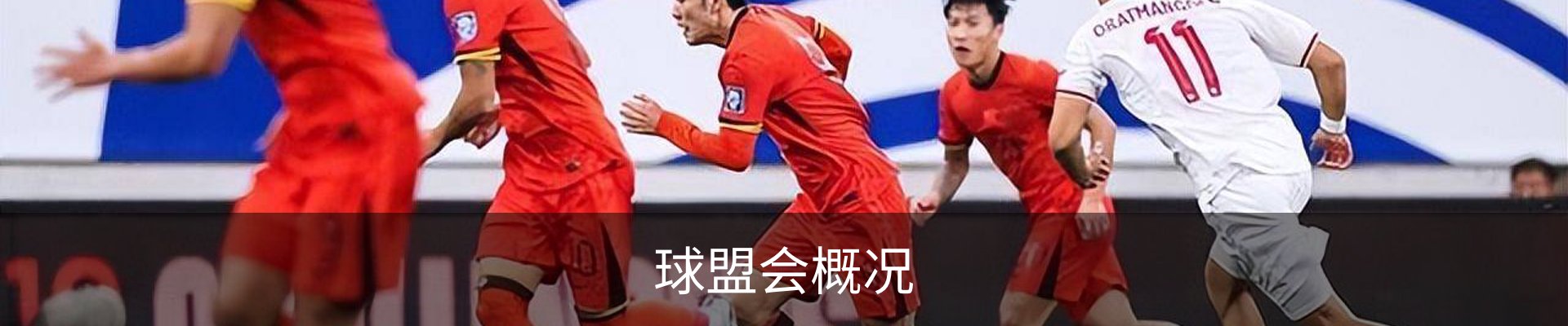 球盟会概况